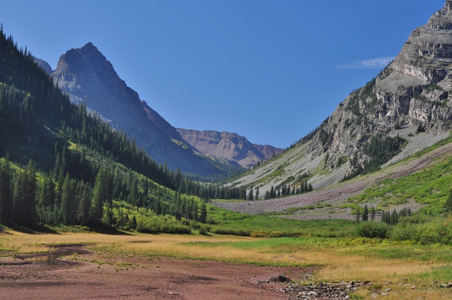 Crater Lake meadow